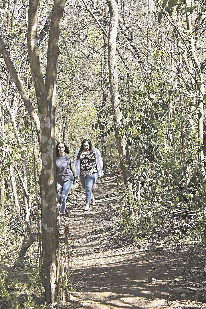 Hikers